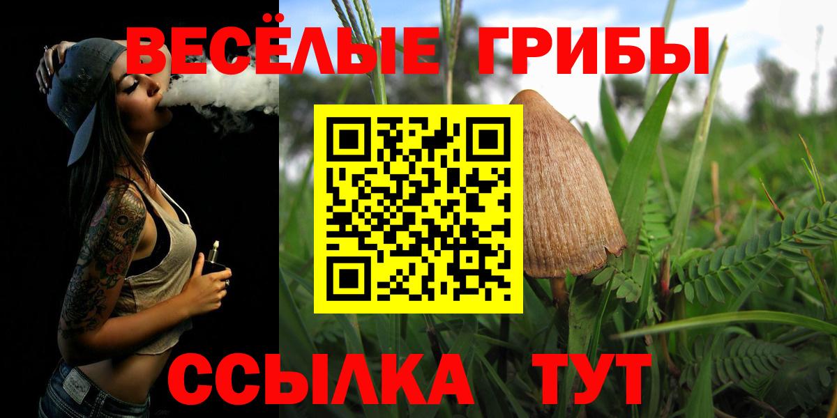 Гатчина  Галлюциногенные грибы Cubensis  магазин    Вход с VPN  Галлюциногенные грибы Psilocybine cubensis 