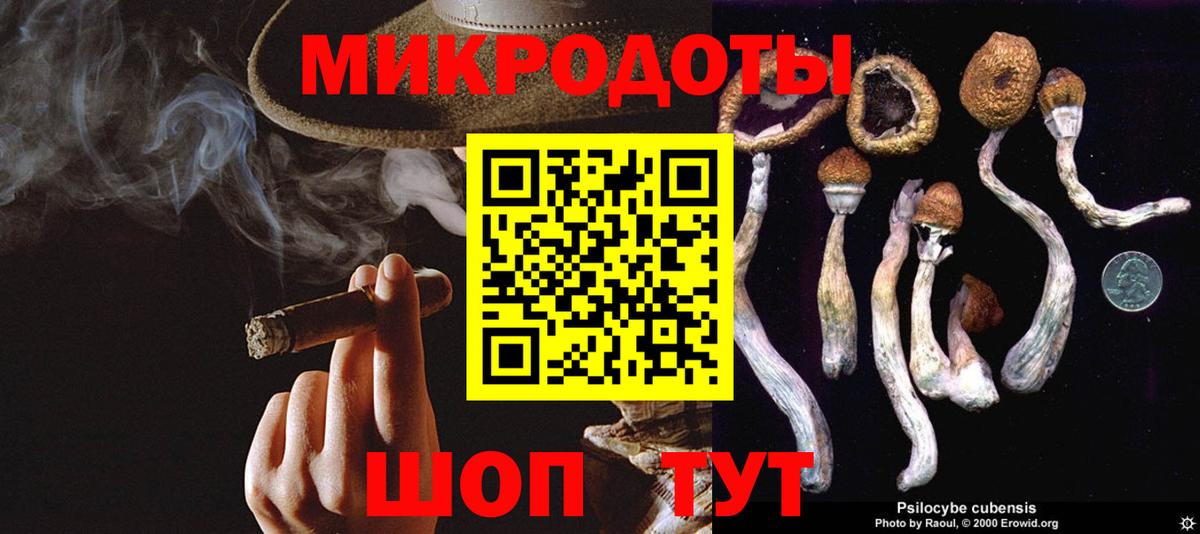 Галлюциногенные грибы мицелий Гатчина