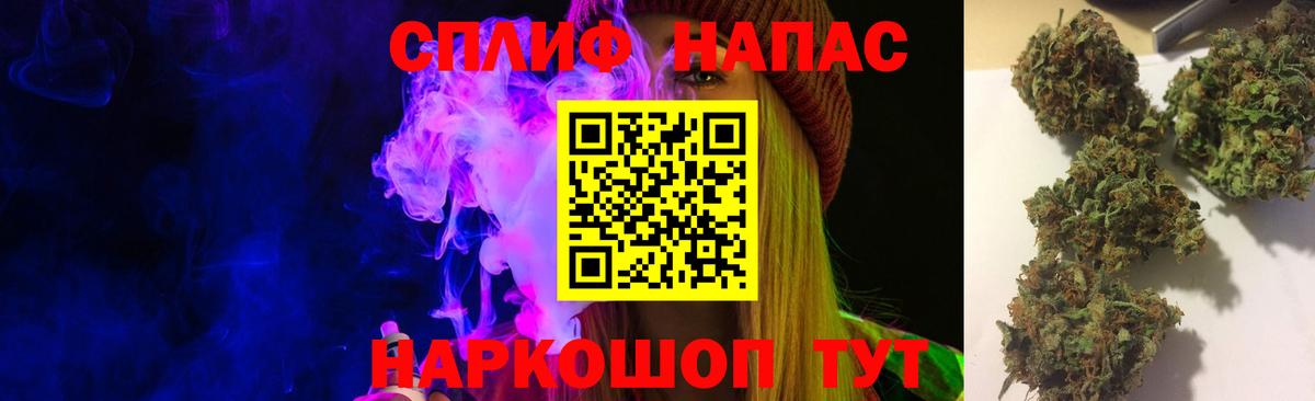 Каннабис сатива Гатчина